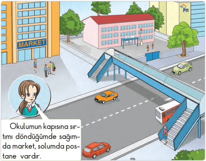 2. Sınıf Hayat Bilgisi Ders Kitabı Sayfa 29 Cevapları SDR Dikey Yayıncılık