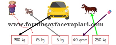 3. Sınıf Matematik Ders Kitabı Sayfa 197-198-199-200-201-202 Cevapları MEB Yayınları