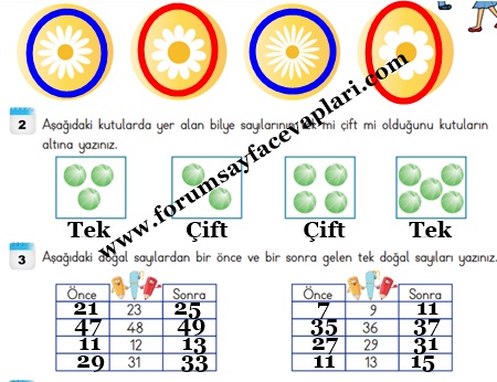 3. Sınıf Matematik Ders Kitabı Sayfa 41-42-43-44-45 Cevapları MEB Yayınları