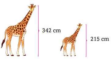 3. Sınıf Matematik Ders Kitabı Sayfa 266 Cevapları Ekoyay Yayıncılık