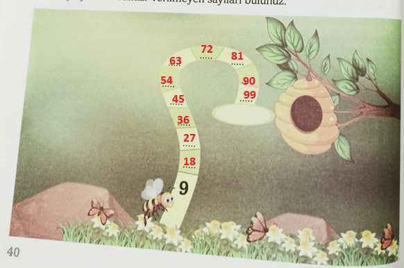 3. Sınıf Matematik Ders Kitabı Sayfa 40 Cevapları Ekoyay Yayıncılık