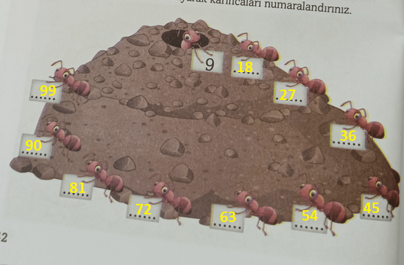 3. Sınıf Matematik Ders Kitabı Sayfa 42 Cevapları Ekoyay Yayıncılık