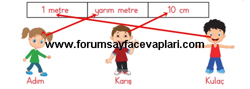 3. Sınıf Matematik Ders Kitabı Sayfa 244-245-246-247 Cevapları MEB Yayınları