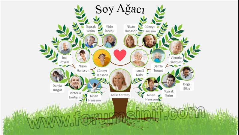 4. Sınıf Sosyal Bilgiler Ders Kitabı Sayfa 30 Cevapları Hecce Yayıncılık