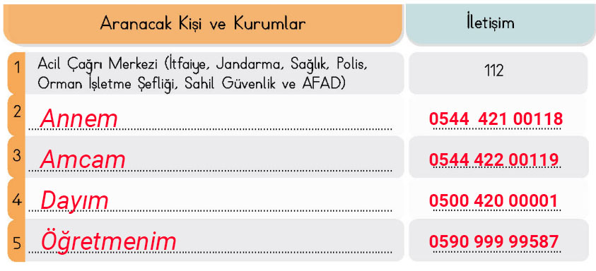 4. Sınıf Türkçe Ders Kitabı Sayfa 141 Cevapları MEB Yayınları