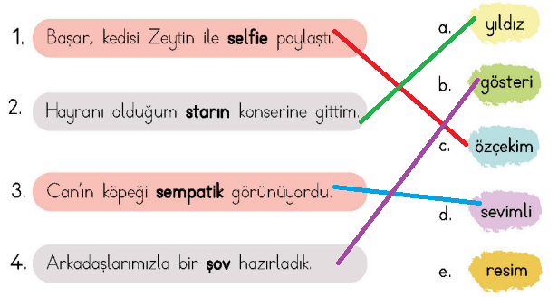 4. Sınıf Türkçe Ders Kitabı Sayfa 15 Cevapları MEB Yayınları