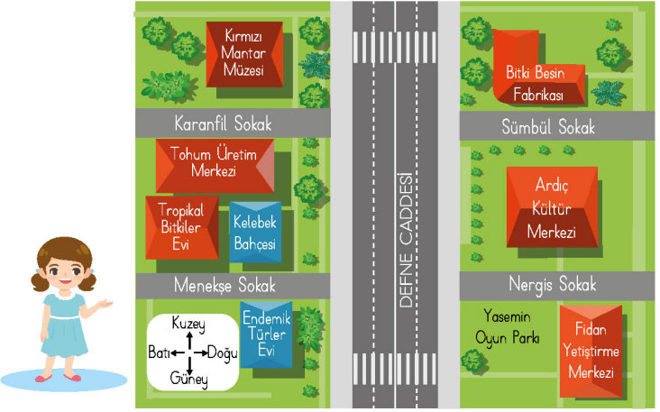 4. Sınıf Türkçe Ders Kitabı Sayfa 155 Cevapları MEB Yayınları