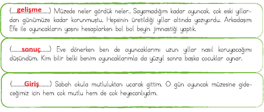 4. Sınıf Türkçe Ders Kitabı Sayfa 208 Cevapları MEB Yayınları