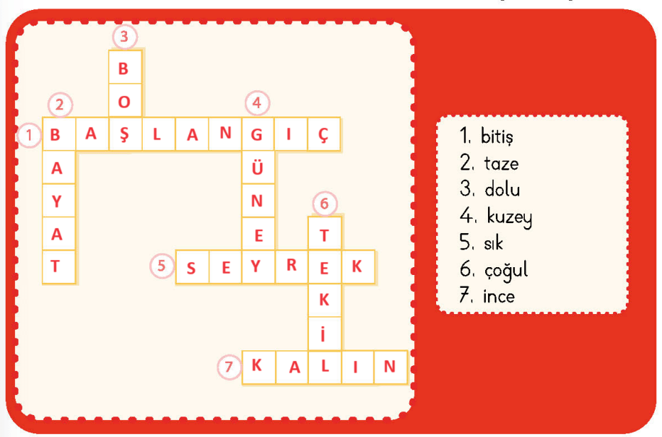 4. Sınıf Türkçe Ders Kitabı Sayfa 21 Cevapları MEB Yayınları