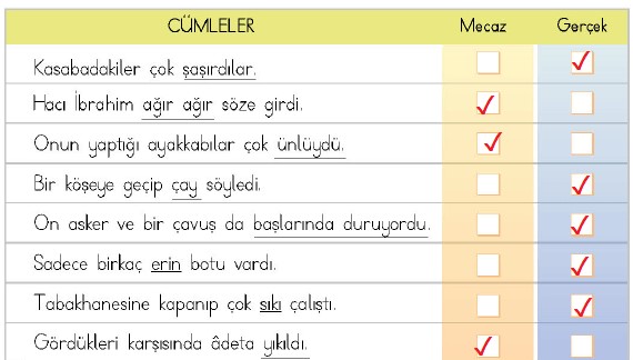 4. Sınıf Türkçe Ders Kitabı Sayfa 63 Cevapları MEB Yayınları