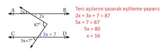 7. Sınıf Matematik Ders Kitabı Sayfa 164 Cevapları MEB Yayınları3