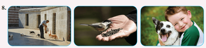 8. Sınıf Türkçe Ders Kitabı Ders Kitabı Sayfa 47 Cevapları Hecce Yayıncılık