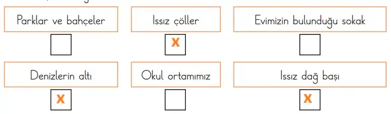 3. Sınıf Fen Bilimleri Ders Kitabı Sayfa 195 Cevapları